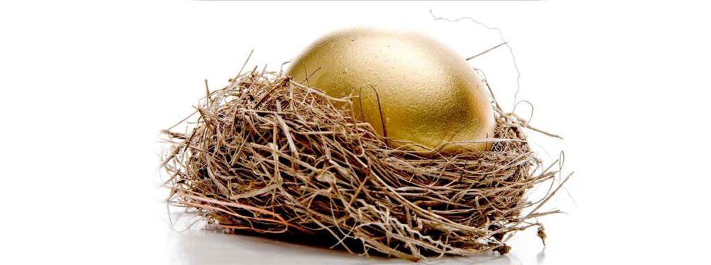 Keeping the Nest Egg branding your Business