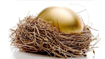 Keeping the Nest Egg branding your Business