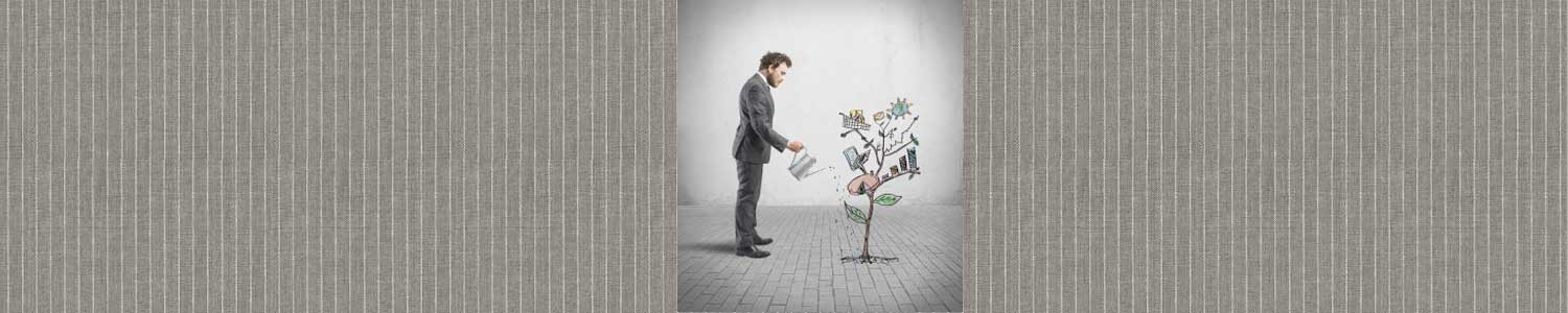 Grow a Business: Using key measures to make a profit